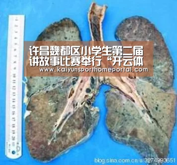 许昌魏都区小学生第二届讲故事比赛举行“开云体育稳定访问”(图1) KAIYUN官网