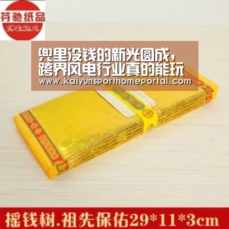 开云体育稳定访问
